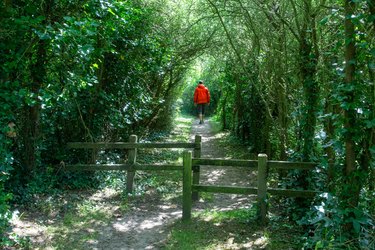 an adult wearing a red jacket walking 3 miles a day for weight loss outside on a trail under green trees